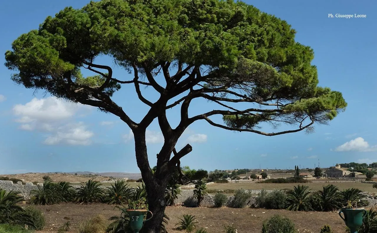 Villa Castiglione 1863 - The Real Sicilian Holiday Ragusa
